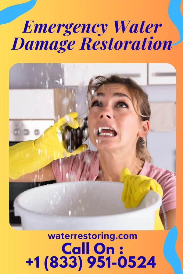 Emergency Water Damage Restoration in Lovilia, IA
