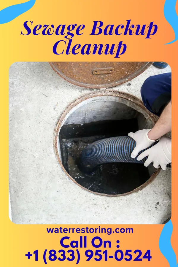 Sewage Backup Cleanup in Lovilia, IA